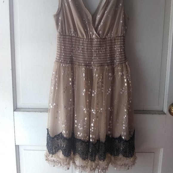 Gold and Silver Shimmer Dress with Black Lace Trim - Picture 2 of 4